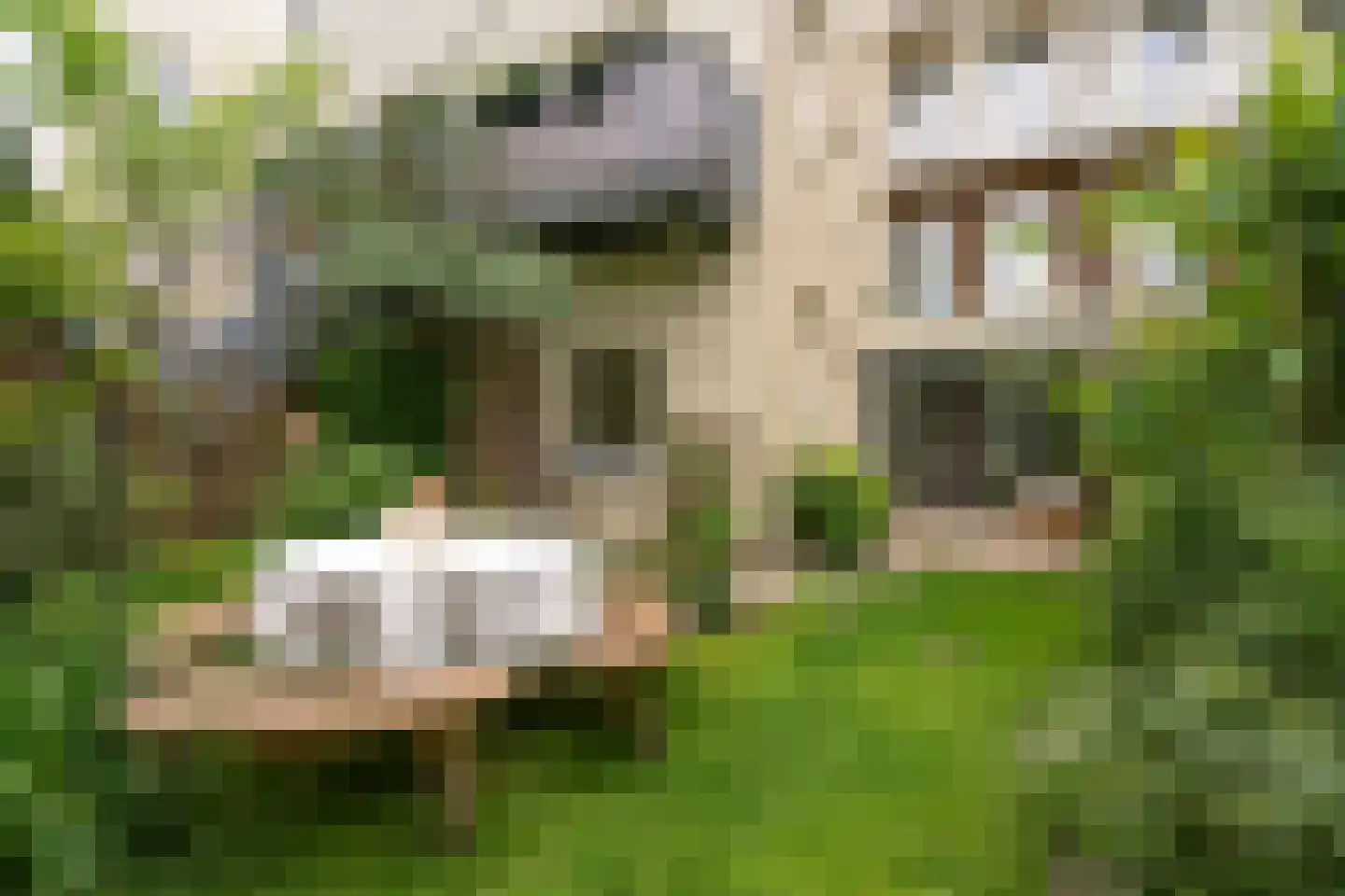 Plantage Muidergracht 79 A Amsterdam thumbnail 32