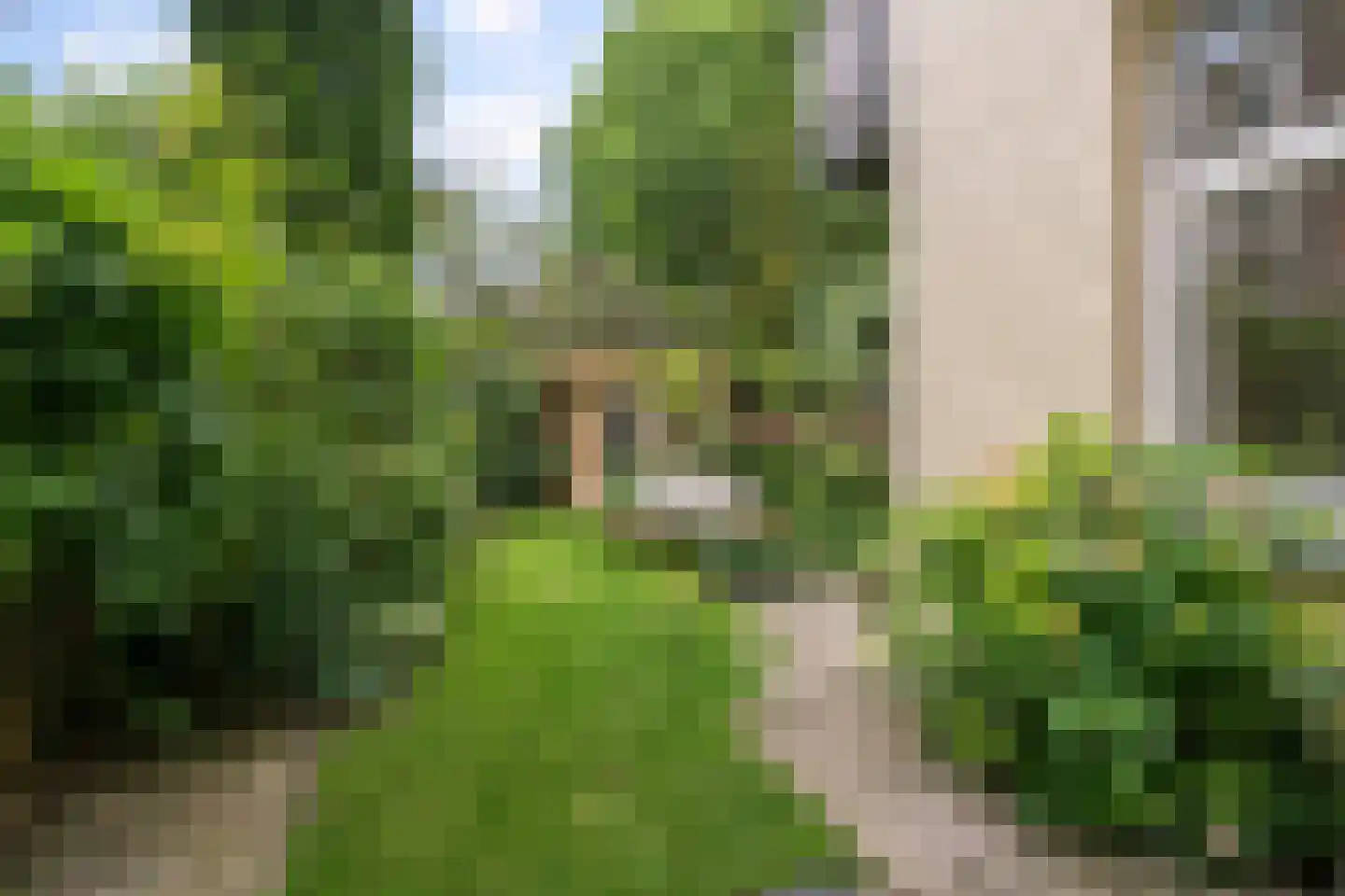 Plantage Muidergracht 79 A Amsterdam thumbnail 5