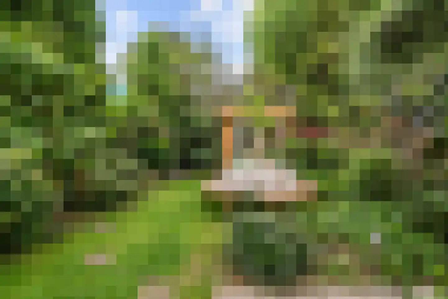 Plantage Muidergracht 79 A Amsterdam thumbnail 6