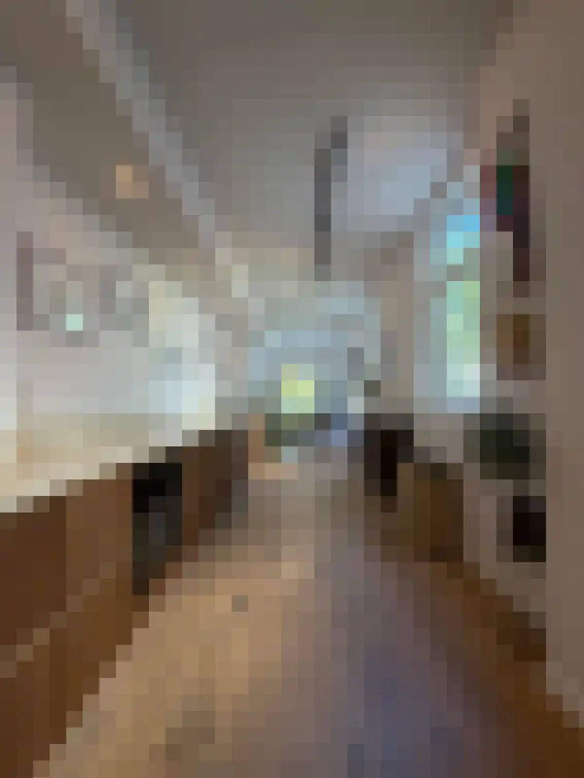 Plantage Muidergracht 81 Amsterdam thumbnail 6