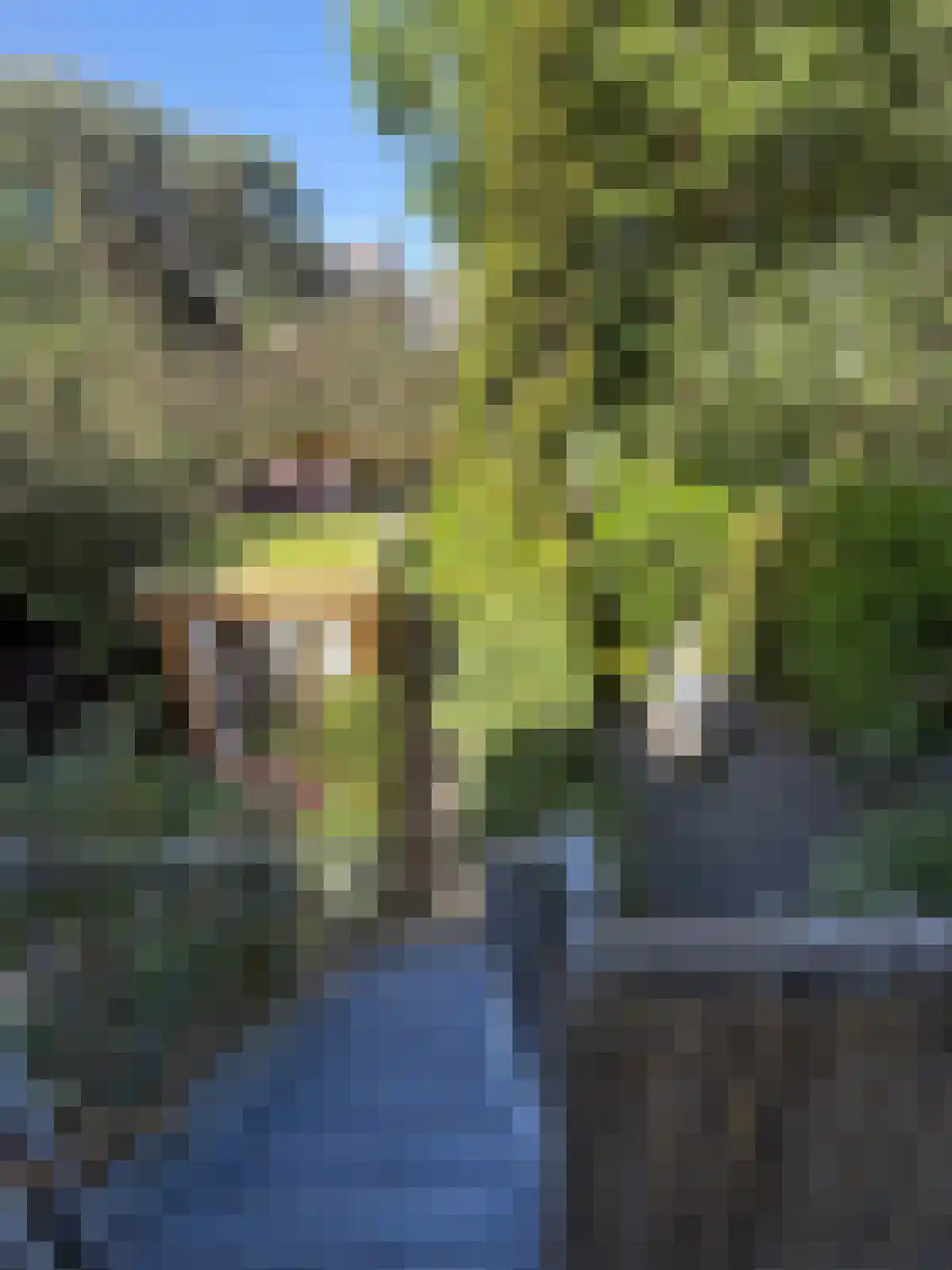 Plantage Muidergracht 97 Amsterdam thumbnail 5