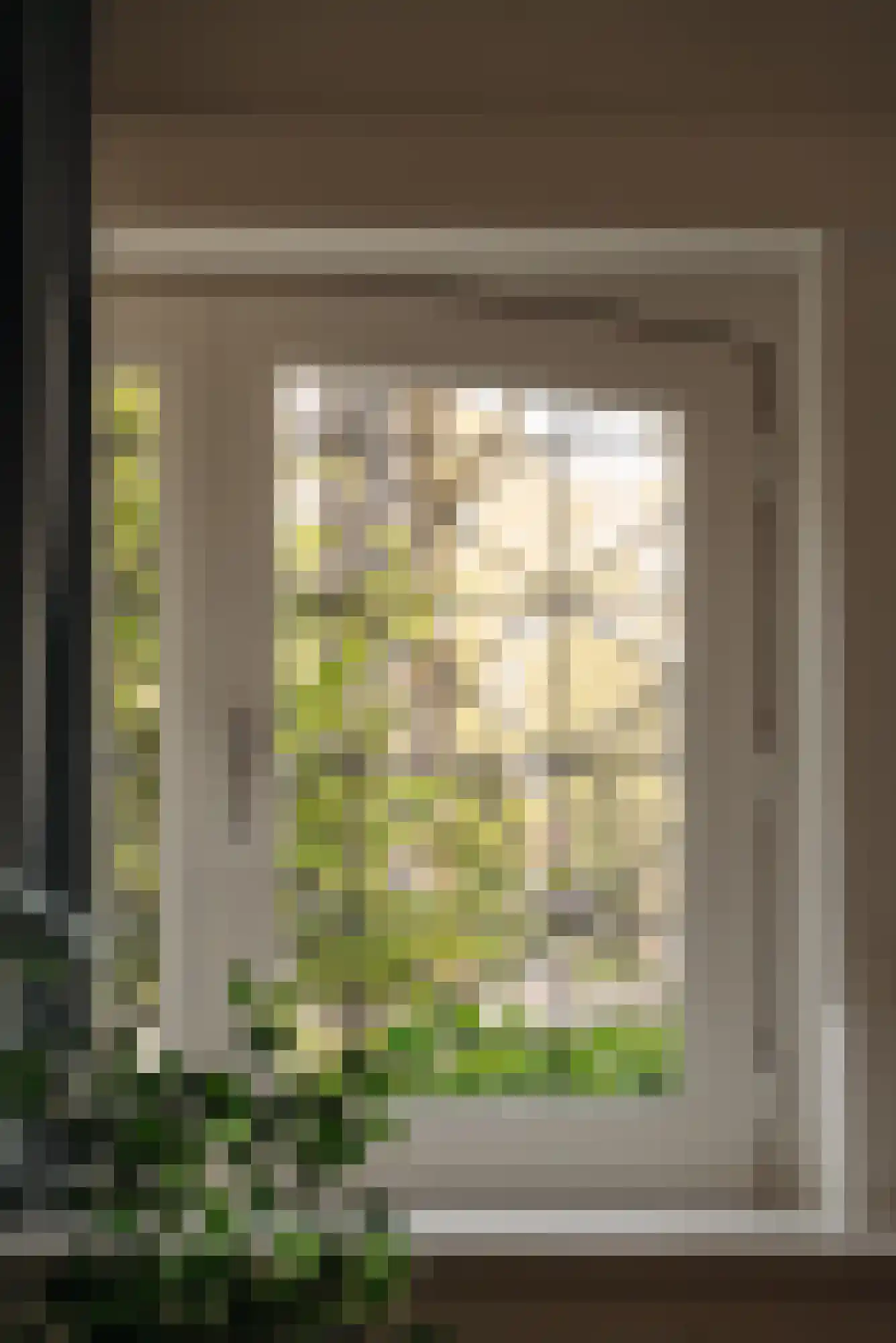Plantage Parklaan 11 1 Amsterdam thumbnail 21