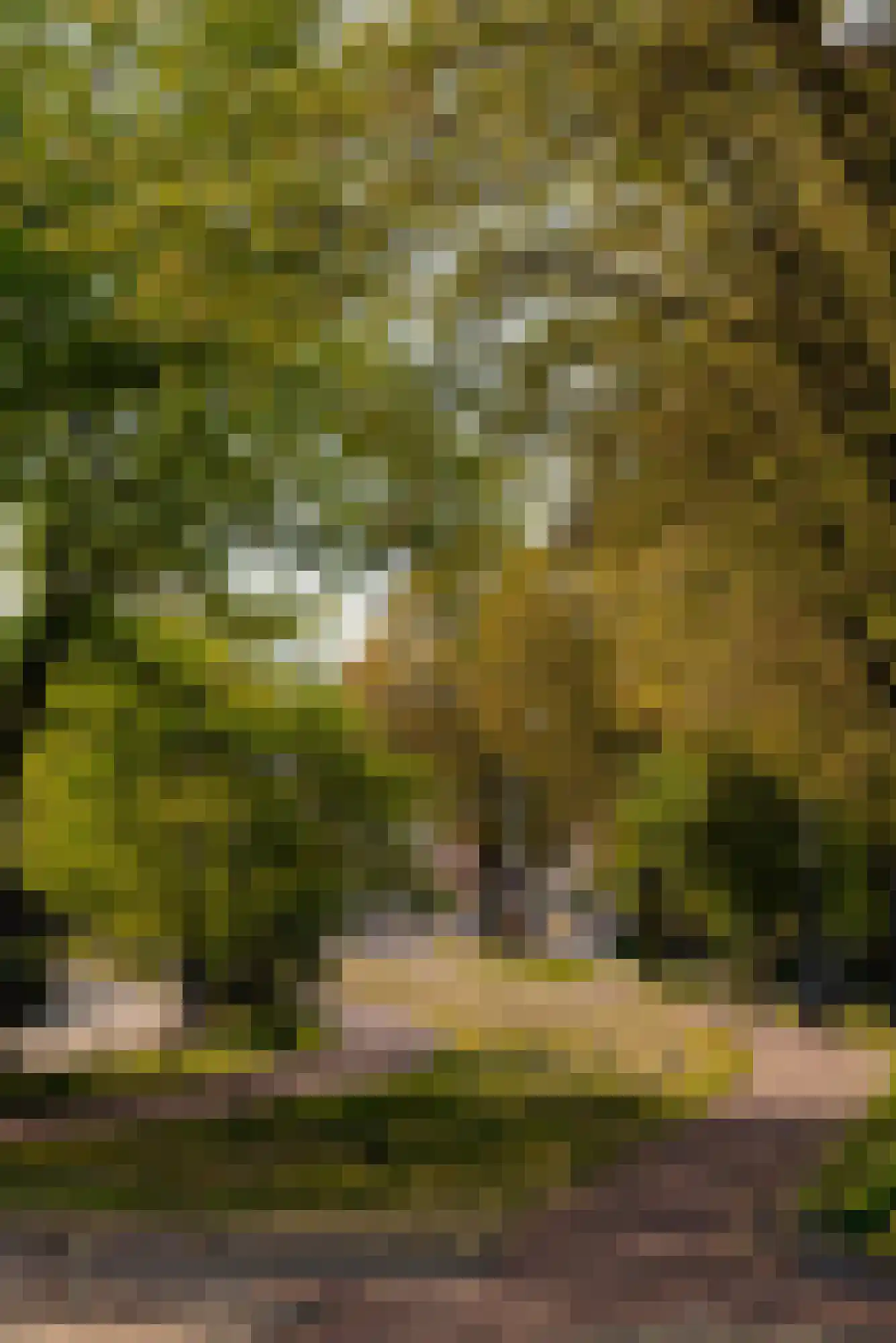Plantage Parklaan 11 1 Amsterdam thumbnail 32