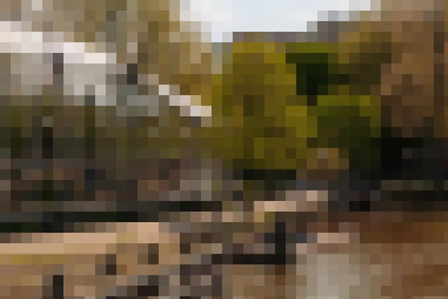 Plantage Parklaan 11 1 Amsterdam thumbnail 34