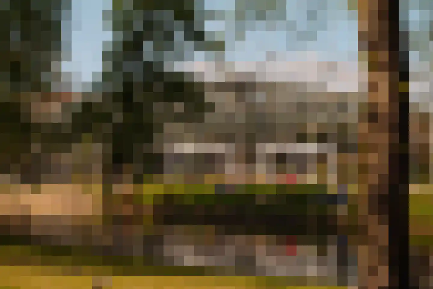 Plantage Parklaan 11 1 Amsterdam thumbnail 36