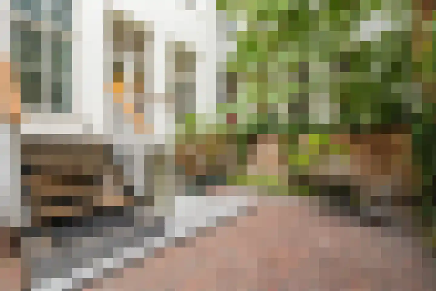 Plantage Parklaan 18 Amsterdam thumbnail 10