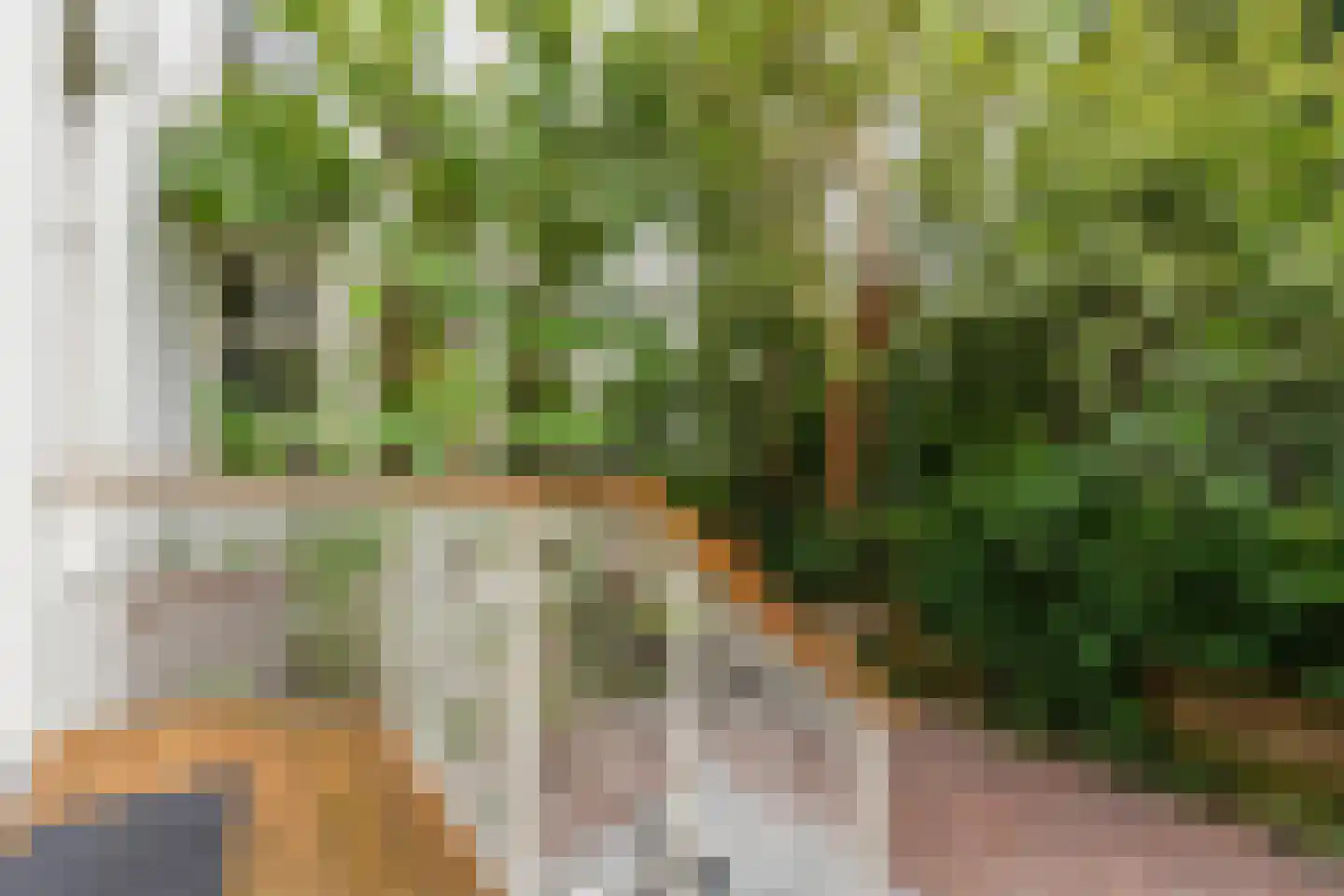 Plantage Parklaan 18 Amsterdam thumbnail 11