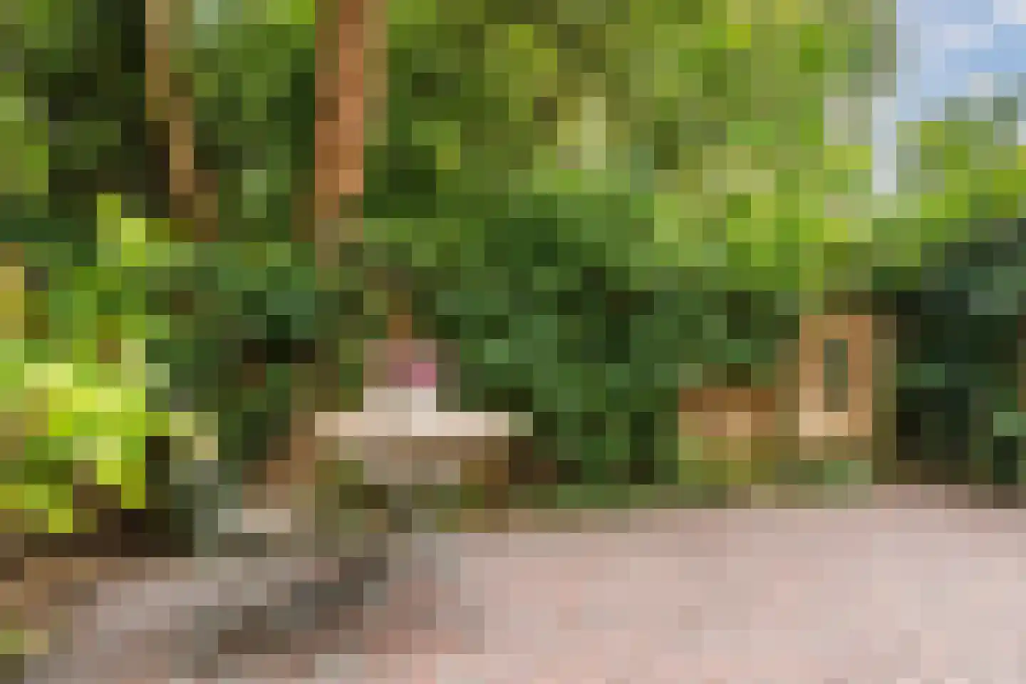 Plantage Parklaan 18 Amsterdam thumbnail 12