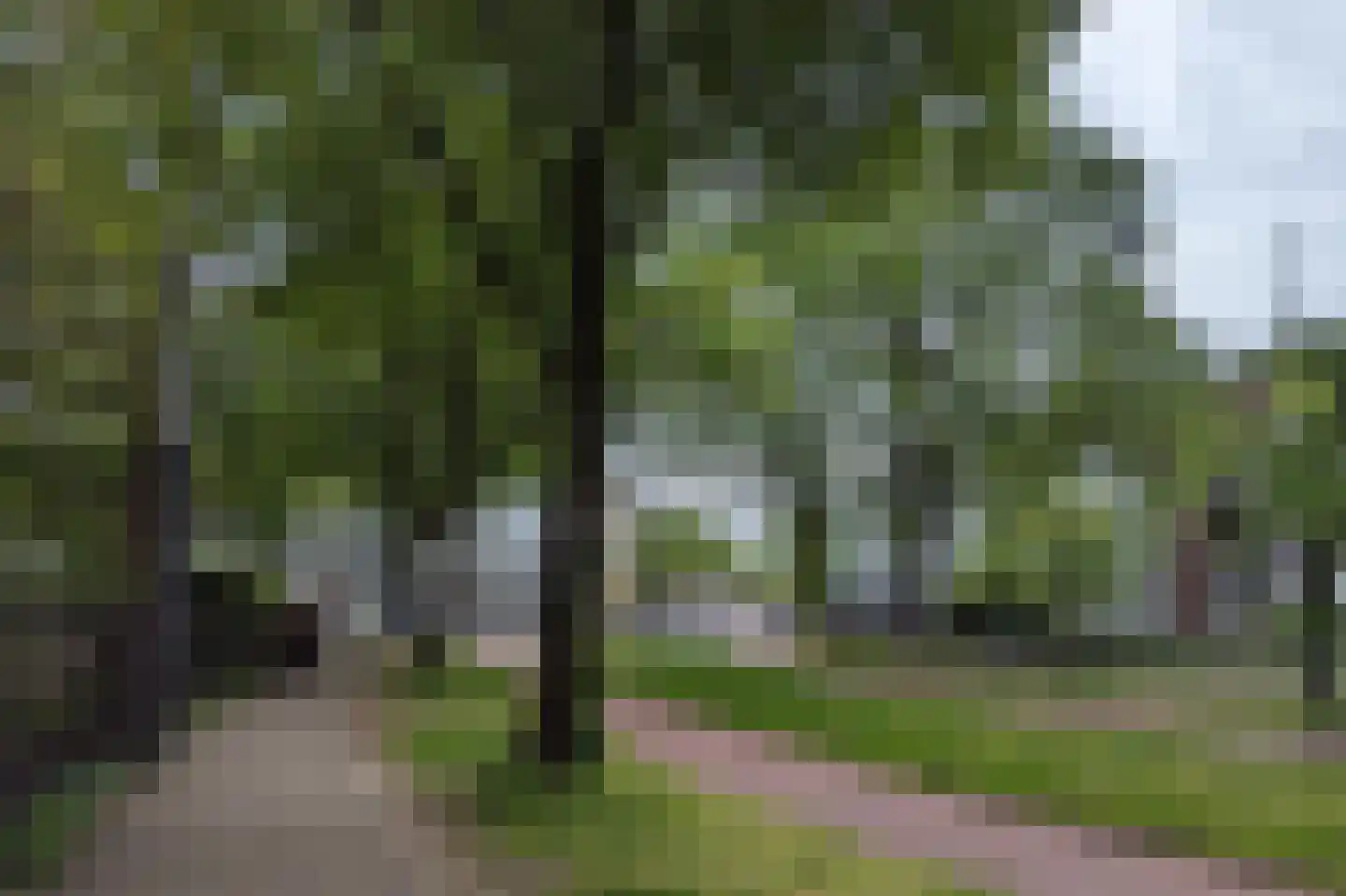 Plantage Parklaan 18 Amsterdam thumbnail 56