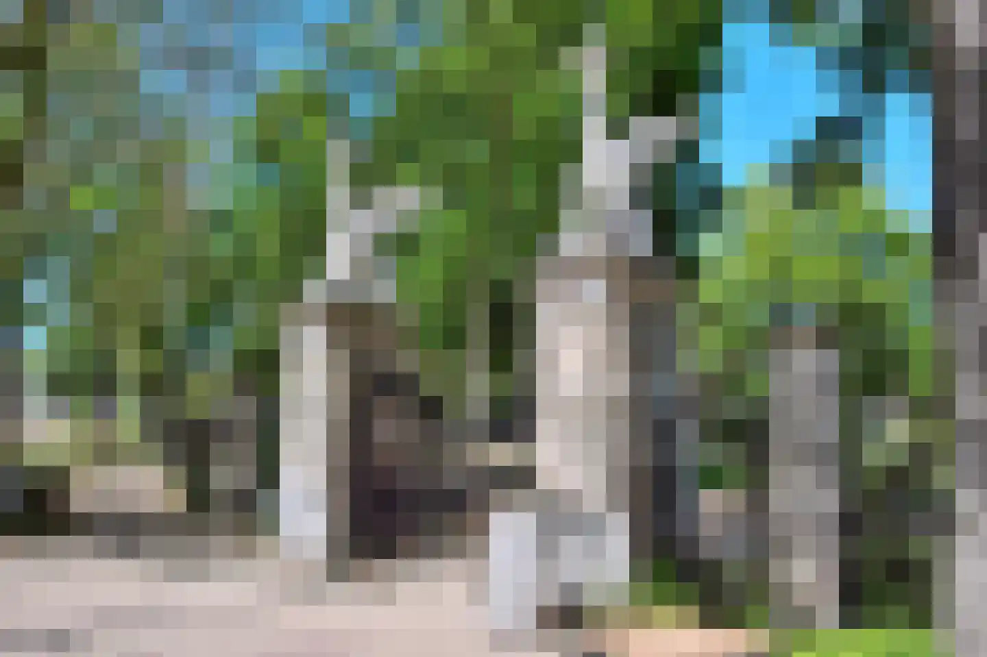 Plantage Parklaan 18 Amsterdam thumbnail 57