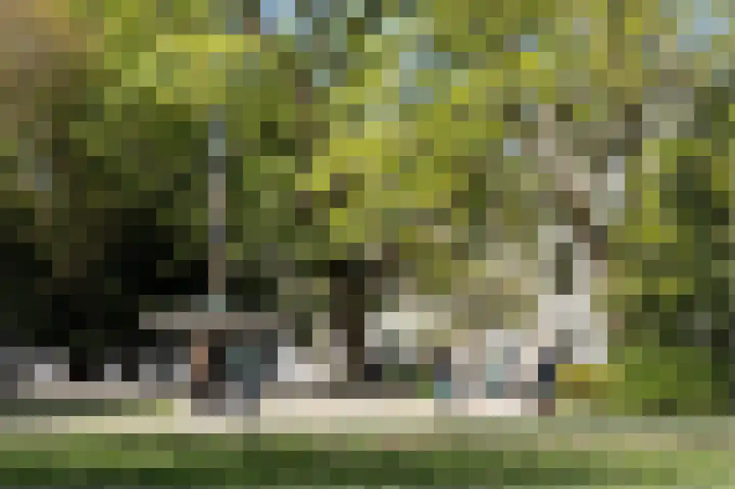 Plantage Parklaan 18 Amsterdam thumbnail 58