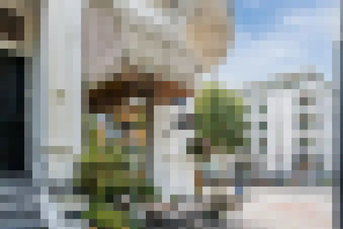 Plantage Parklaan 18 Amsterdam thumbnail 59