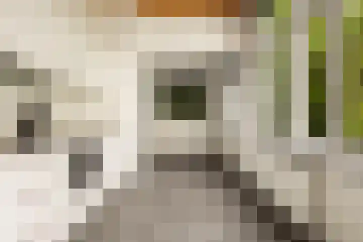 Plantage Parklaan 24 2 Amsterdam thumbnail 12