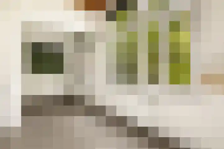 Plantage Parklaan 24 2 Amsterdam thumbnail 13