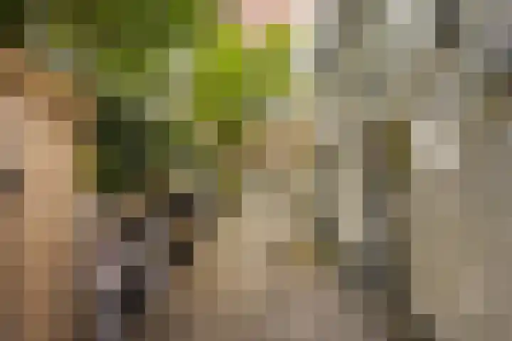 Plantage Parklaan 24 2 Amsterdam thumbnail 23