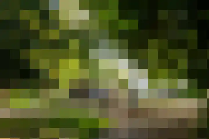 Plantage Parklaan 30 1 Amsterdam thumbnail 46