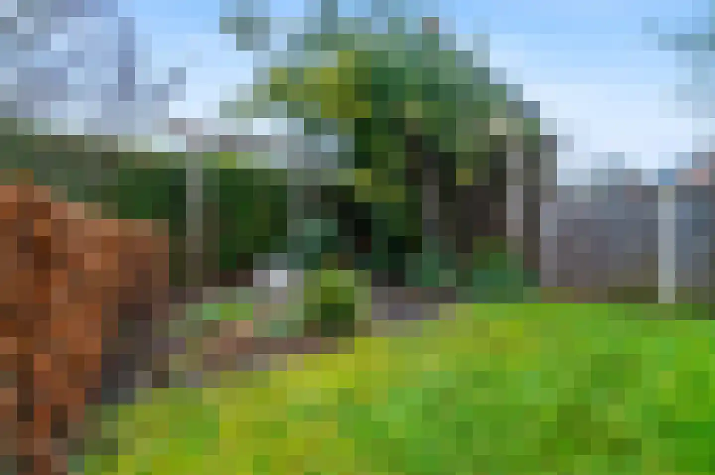 Plantagebaan 15 Wouw thumbnail 38