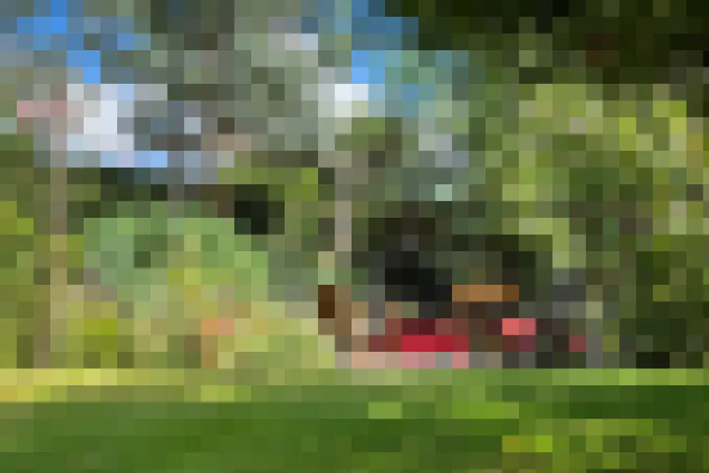 Plantagebaan 15 Wouw thumbnail 39
