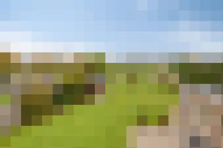 Plantagebaan 180 Wouwse Plantage thumbnail 36