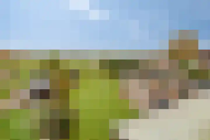Plantagebaan 180 Wouwse Plantage thumbnail 37