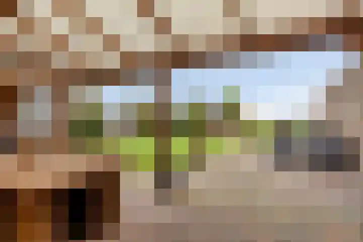 Plantagebaan 180 Wouwse Plantage thumbnail 43