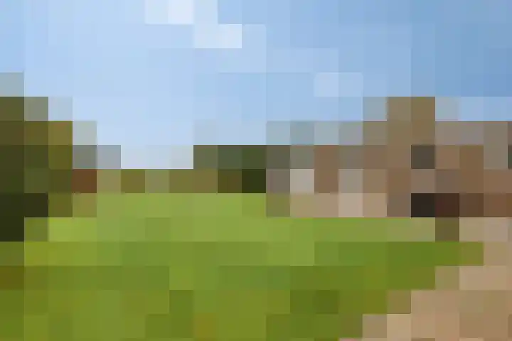 Plantagebaan 180 Wouwse Plantage thumbnail 45