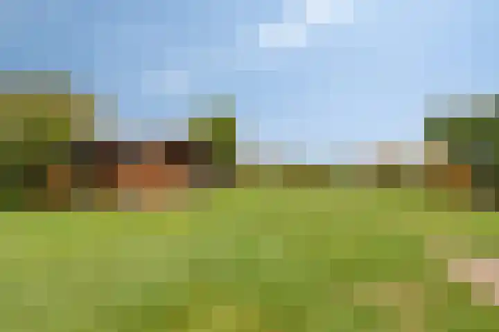 Plantagebaan 180 Wouwse Plantage thumbnail 46