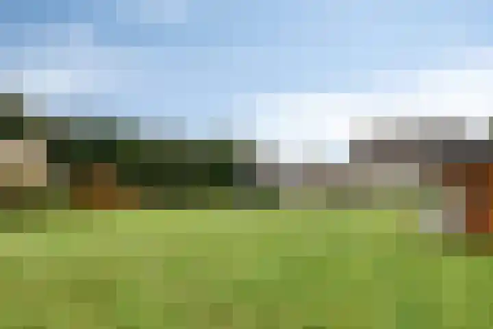 Plantagebaan 180 Wouwse Plantage thumbnail 49