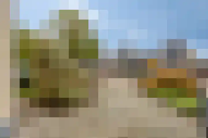 Plantagebaan 180 Wouwse Plantage thumbnail 60