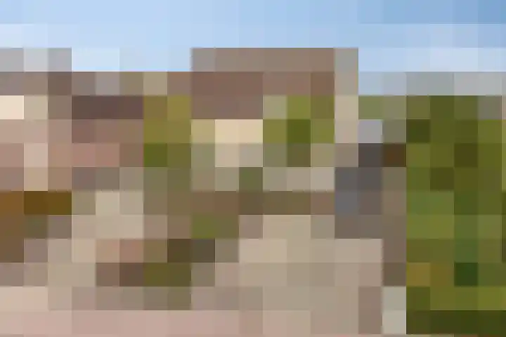 Plantagebaan 180 Wouwse Plantage thumbnail 61