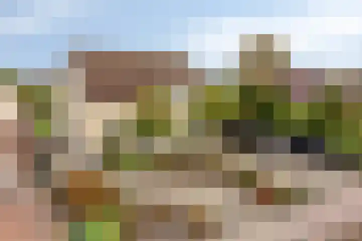 Plantagebaan 180 Wouwse Plantage thumbnail 62