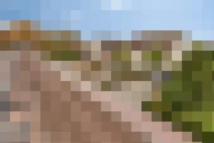 Plantagebaan 180 Wouwse Plantage thumbnail 63