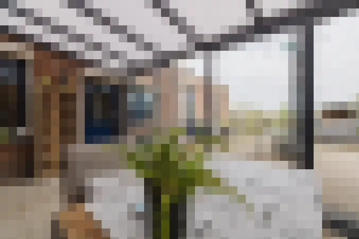 Plantagebaan 182 Wouwse Plantage thumbnail 6