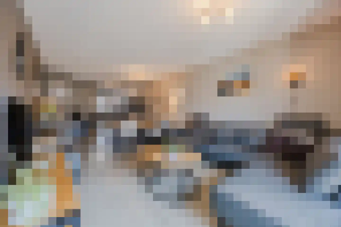Plantagebaan 2 g Wouw thumbnail 16