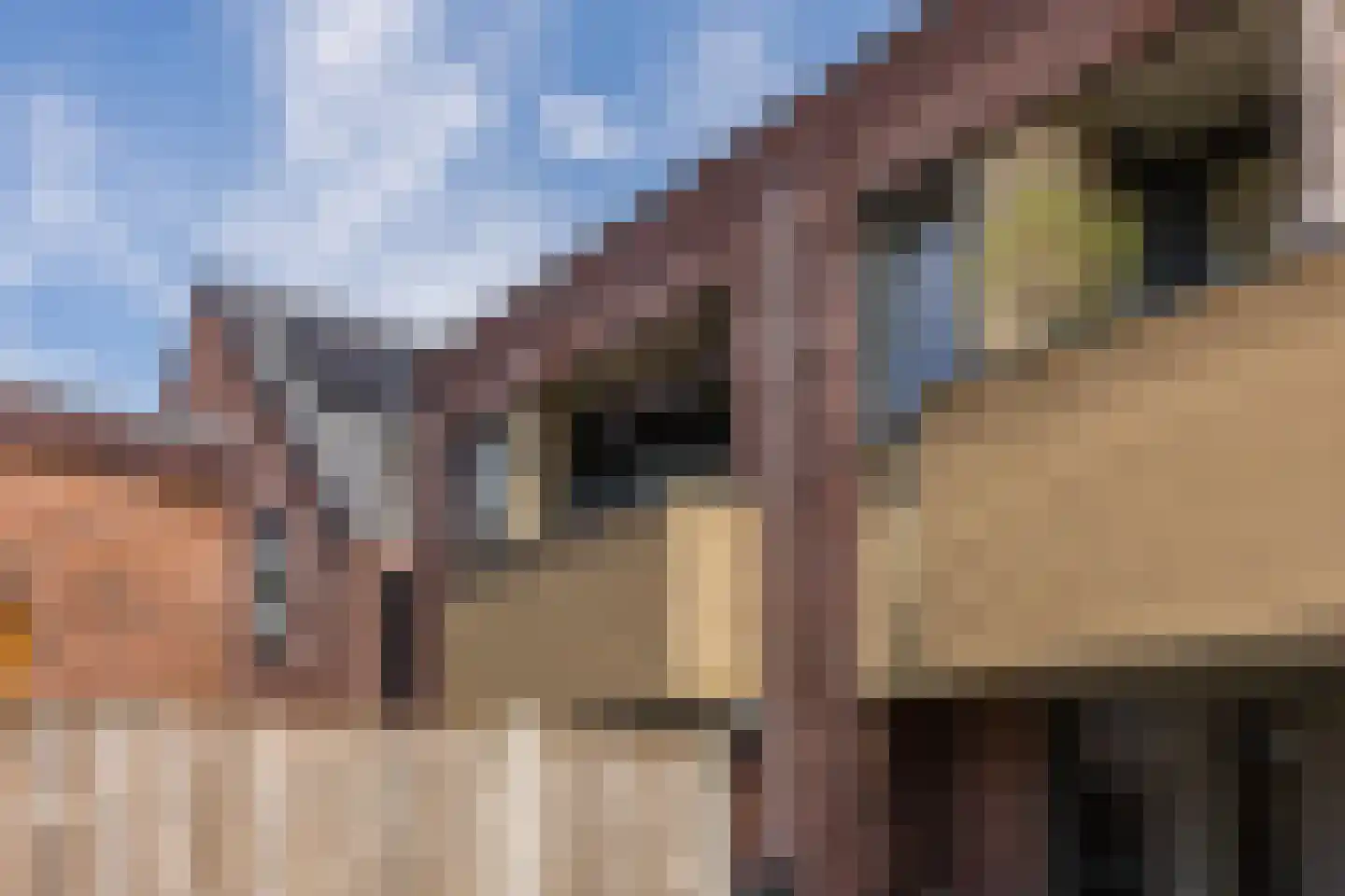 Plantagebaan 2 g Wouw thumbnail 33