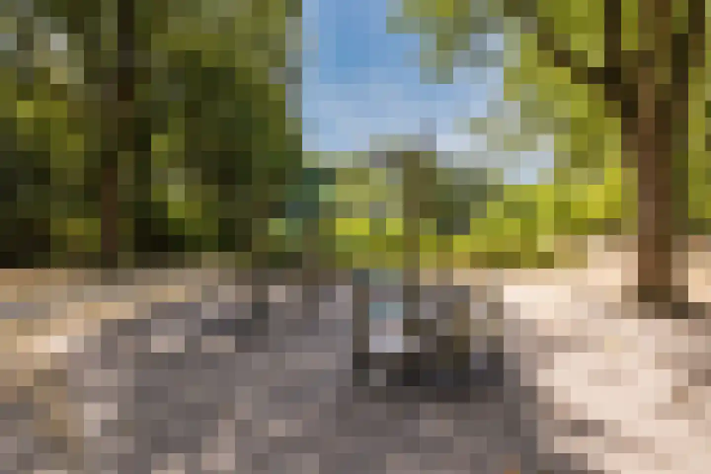 Plantagebaan 2 g Wouw thumbnail 39