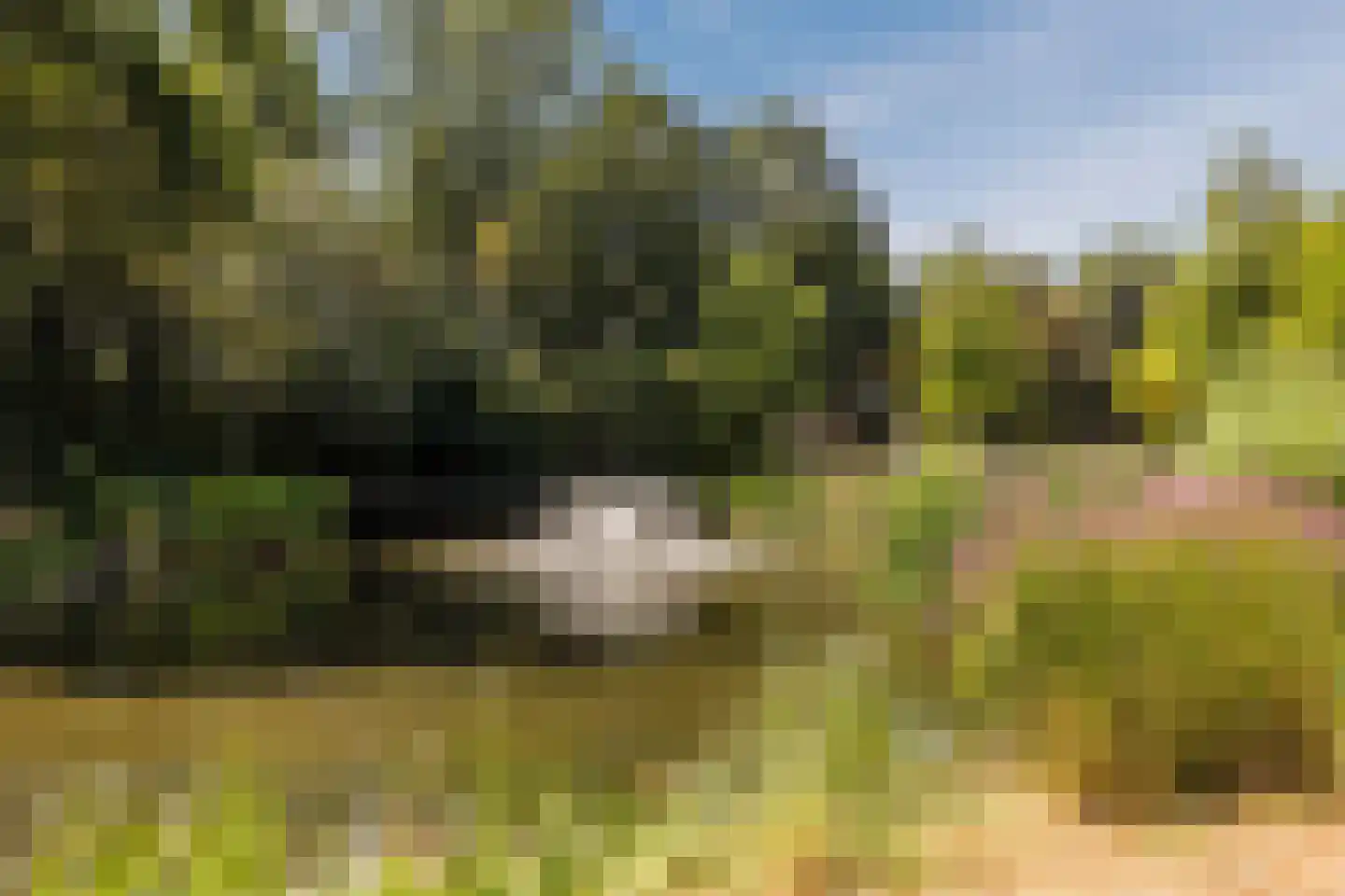 Plantagebaan 2 g Wouw thumbnail 41
