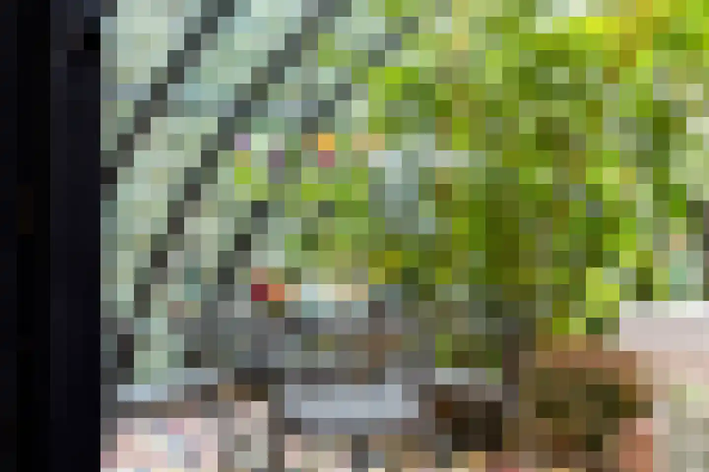 Plantagebaan 221 Wouwse Plantage thumbnail 35