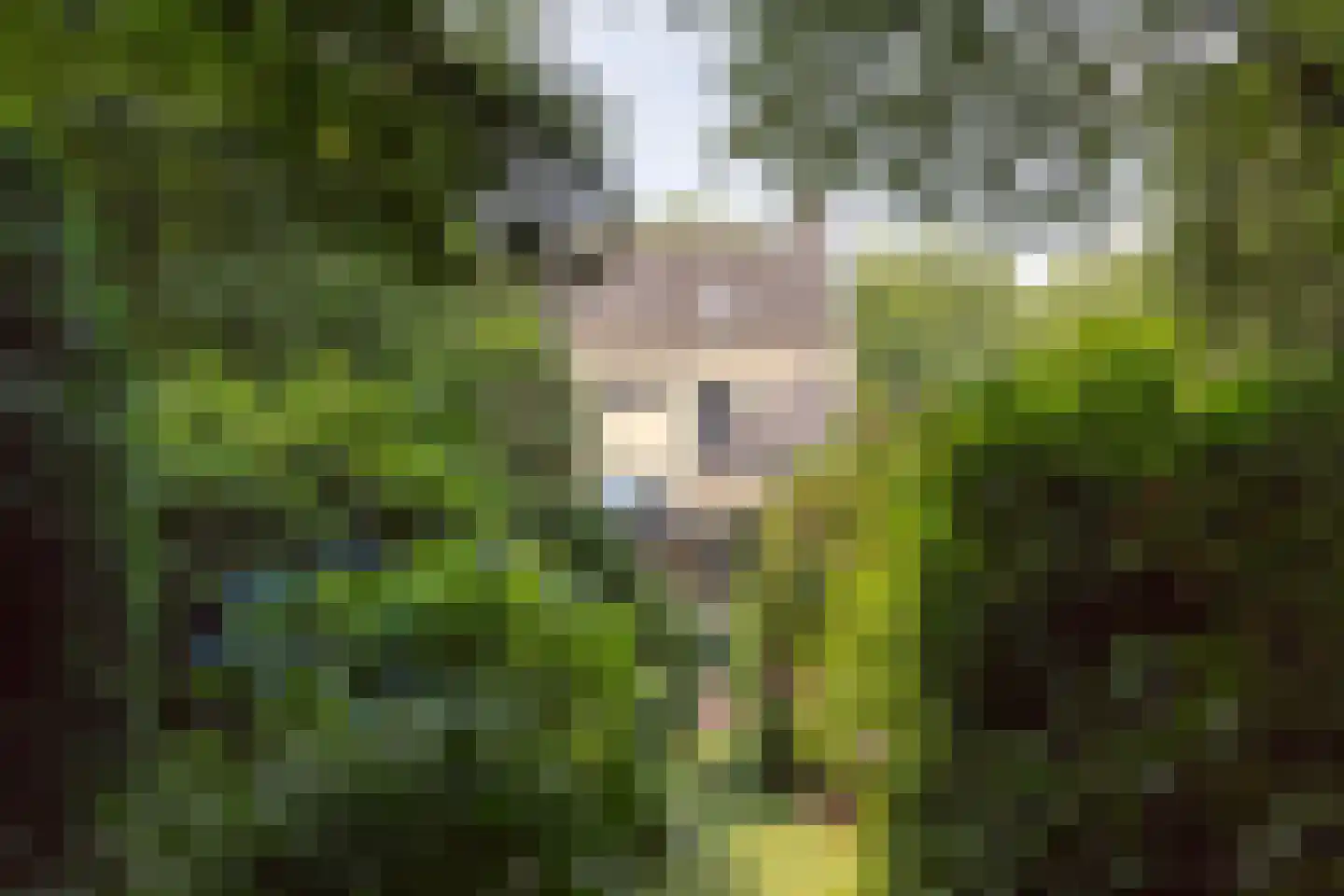 Plantagebaan 221 Wouwse Plantage thumbnail 38