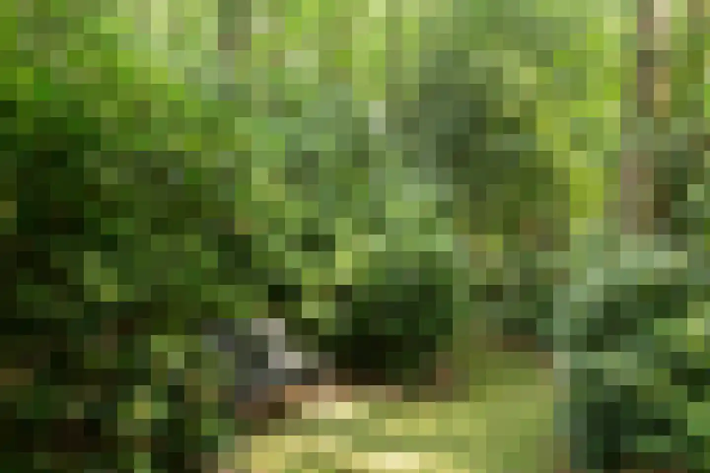 Plantagebaan 221 Wouwse Plantage thumbnail 39