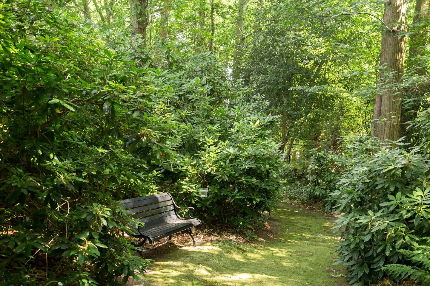 Plantagebaan 221 Wouwse Plantage thumbnail 39