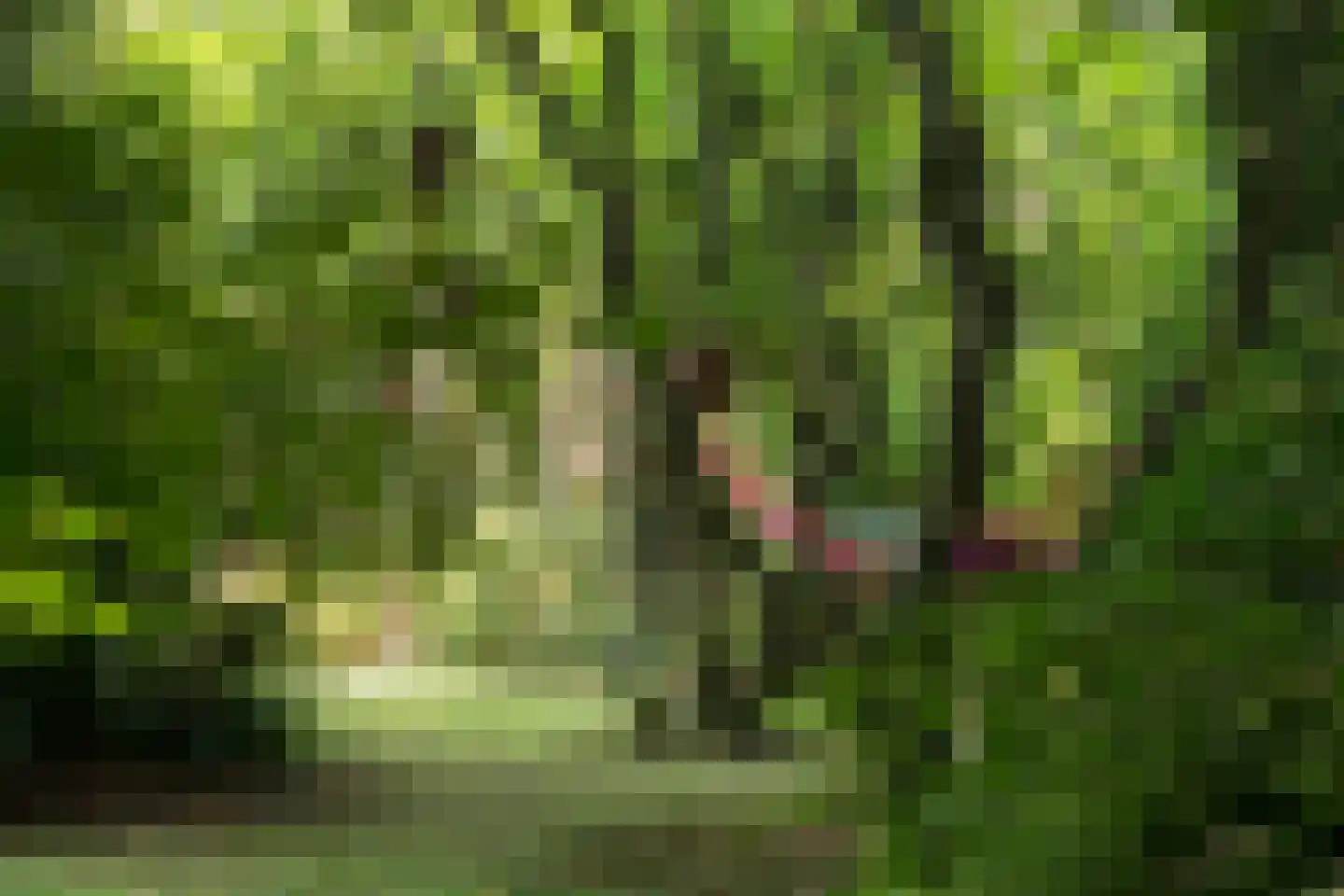 Plantagebaan 221 Wouwse Plantage thumbnail 40