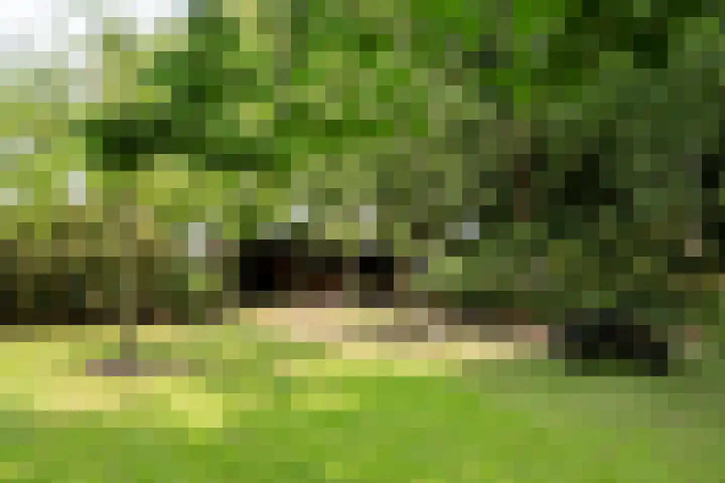 Plantagebaan 221 Wouwse Plantage thumbnail 41