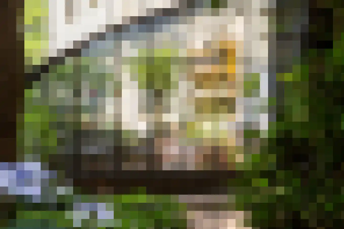 Plantagebaan 221 Wouwse Plantage thumbnail 43