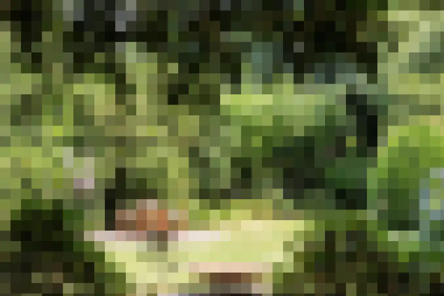 Plantagebaan 221 Wouwse Plantage thumbnail 44