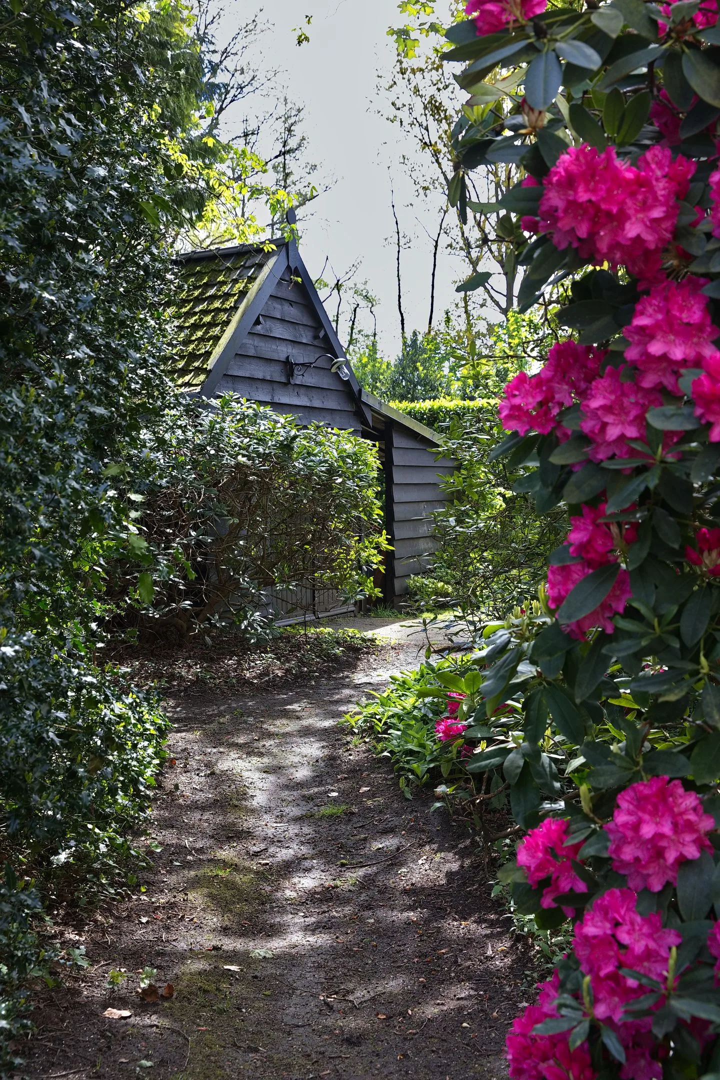 Plantagebaan 221 Wouwse Plantage thumbnail 56
