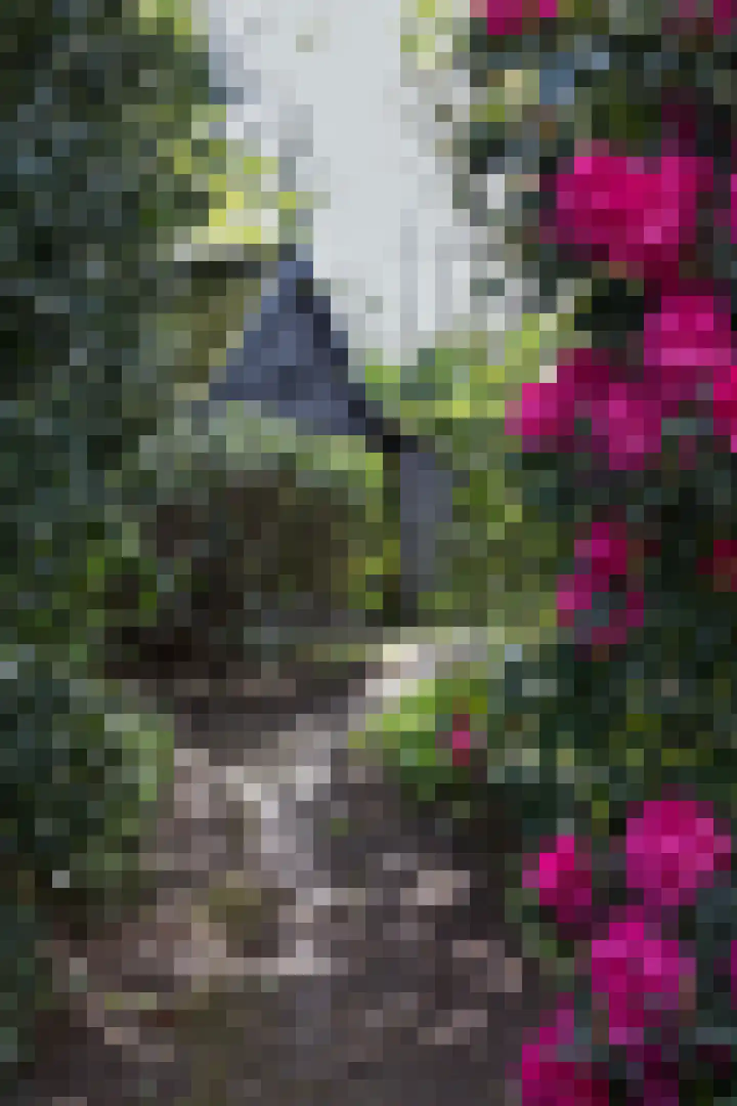 Plantagebaan 221 Wouwse Plantage thumbnail 56