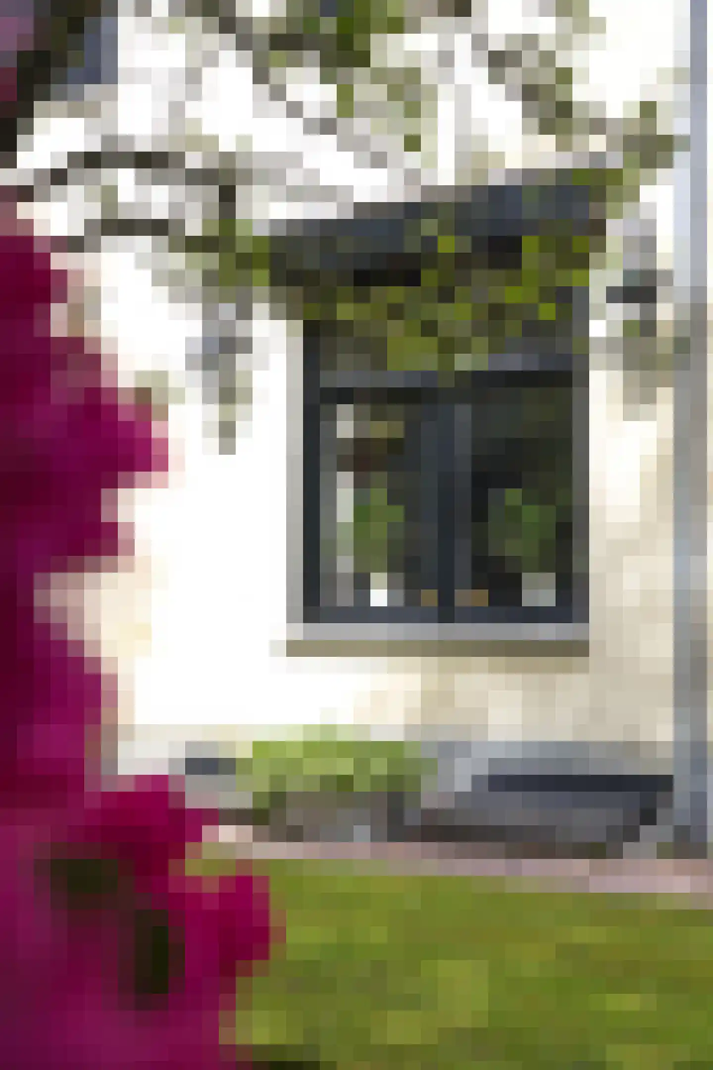 Plantagebaan 221 Wouwse Plantage thumbnail 57
