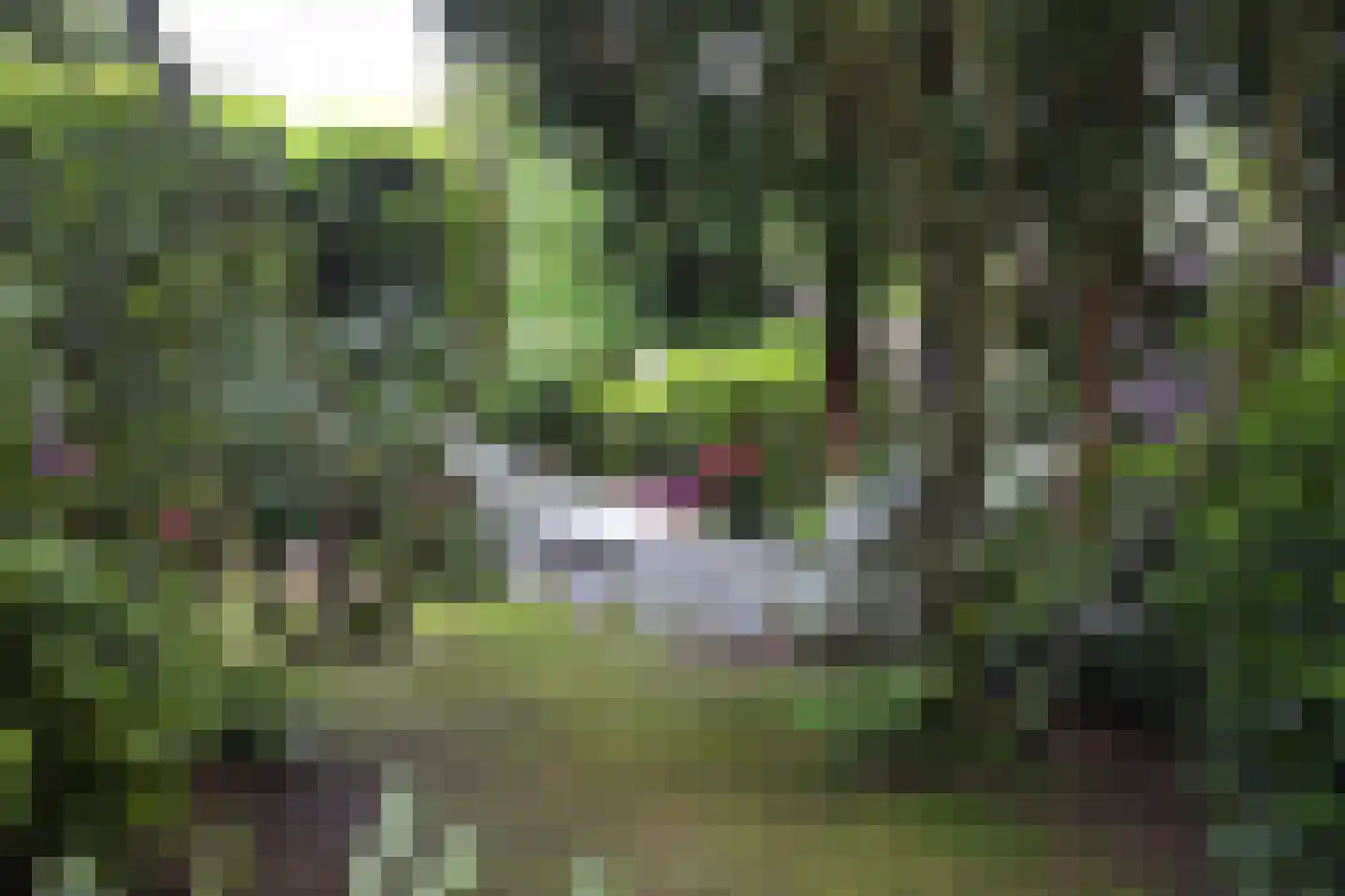 Plantagebaan 221 Wouwse Plantage thumbnail 58