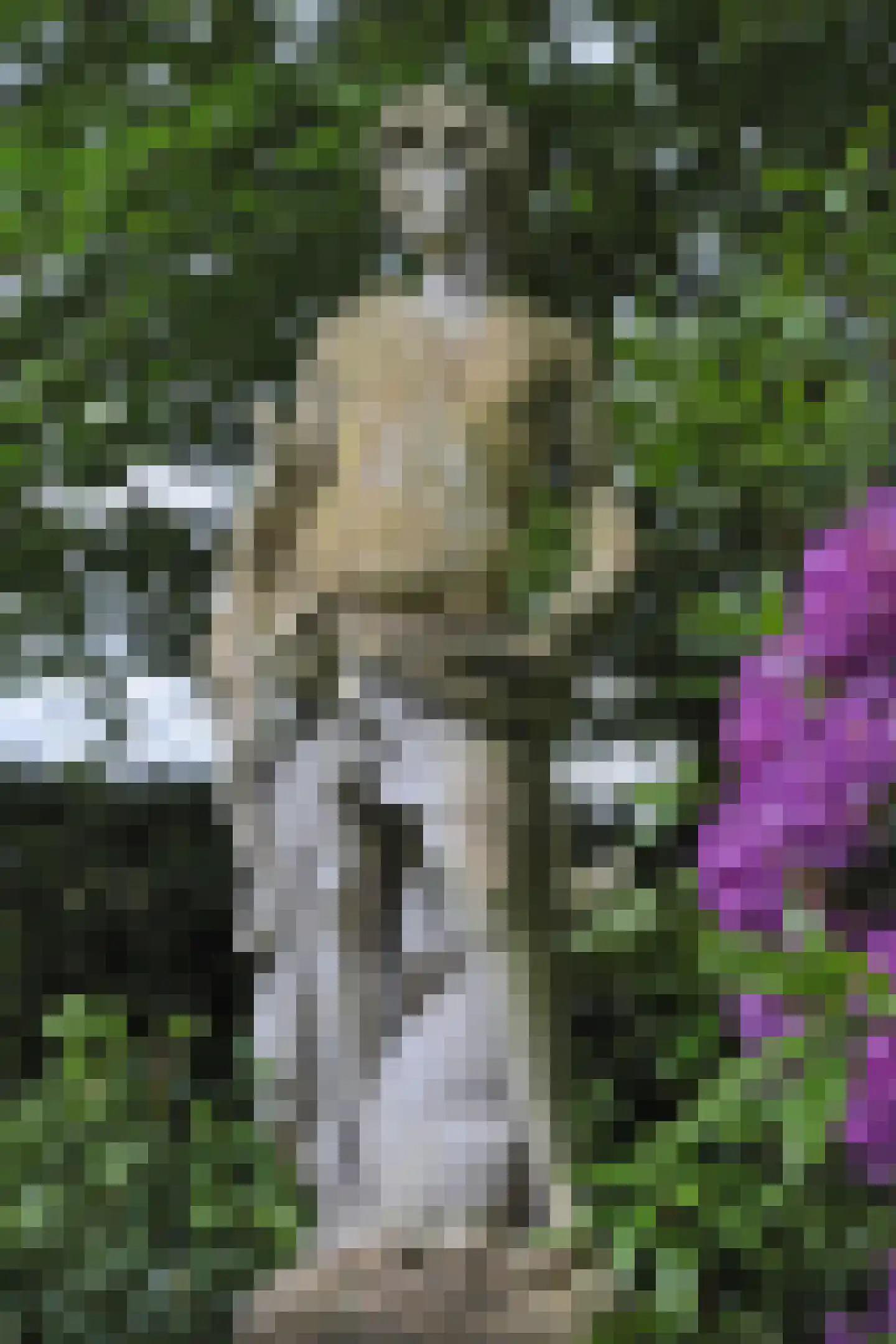 Plantagebaan 221 Wouwse Plantage thumbnail 62